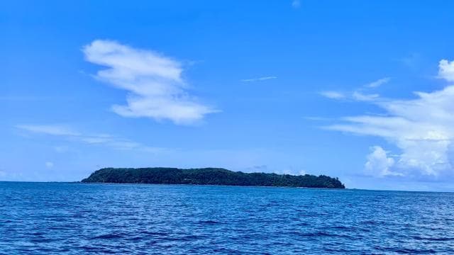 Caño Island Biological Reserve - Snorkeling or Diving
