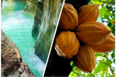 Private Damajagua Waterfalls Canyoning + Cocoa & Coffee Tour