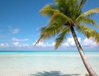 Private: Saona Island Full-Day Escape with Meals & Beverages