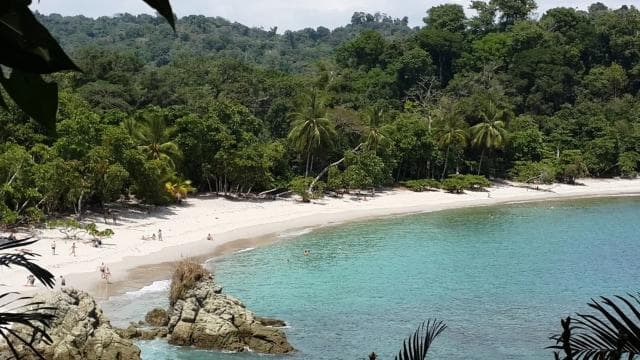 Manuel Antonio National Park Combo Tour from San Jose