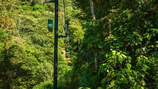 From San Jose: 6-in-1 Rainforest Bridges & Cables Adventure