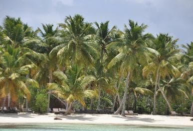 Saona Island and natural Pool Punta Cana