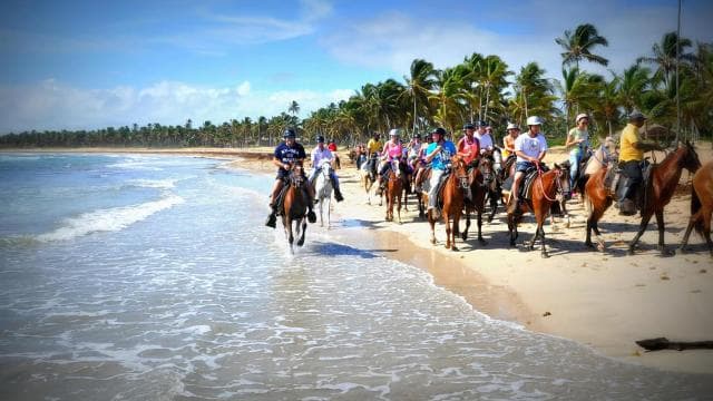 Punta Cana: Horseback Riding through Stunning Beaches