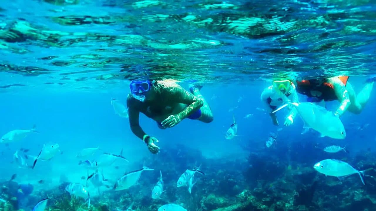 Punta Cana: Catalina Island Private Day Trip with Snorkeling