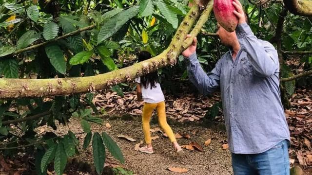 San Carlos: The Art of Chocolate Making Tour at Don Olivo