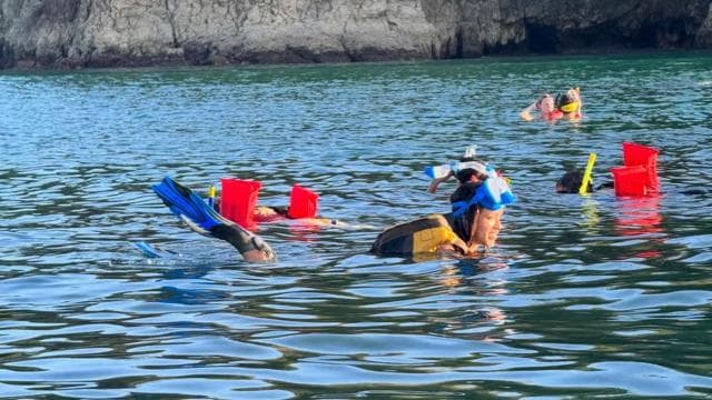 Manuel Antonio: Ocean Kayak and Snorkeling in Biesanz Beach