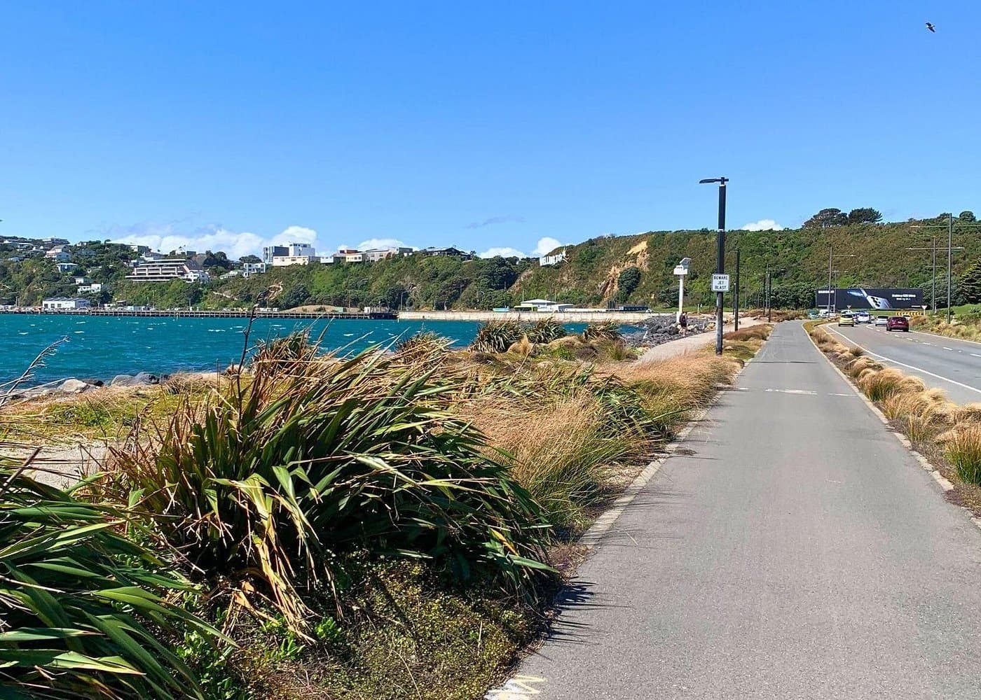 Wellington Electric Bike Rental