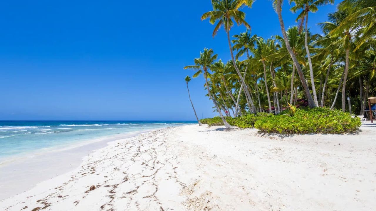 Saona Island: Full-Day Boat Tour with Drinks & Buffet Lunch