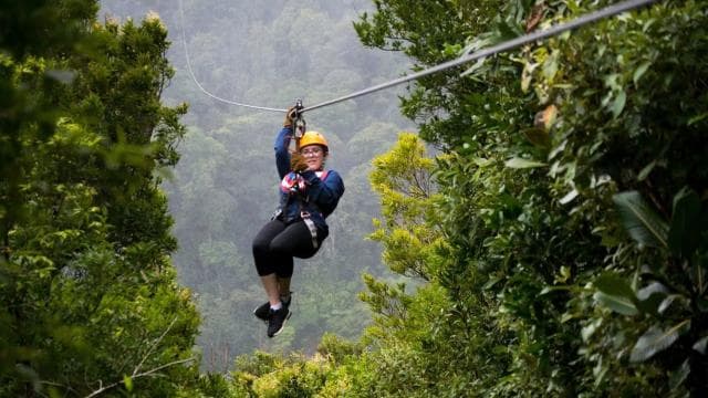 Monteverde: Jungle Zipline & Tarzan Swing with Transfer