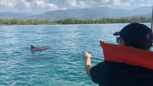 Marino Ballena National Park: Watching Whales and Dolphins