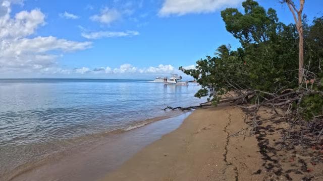 Vieque: Power Boat Turtle Snorkel and Beach Tour with Lunch
