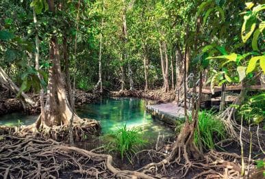 Adventure from Samaná: Los Haitises, Caño Hondo, and Yanigua