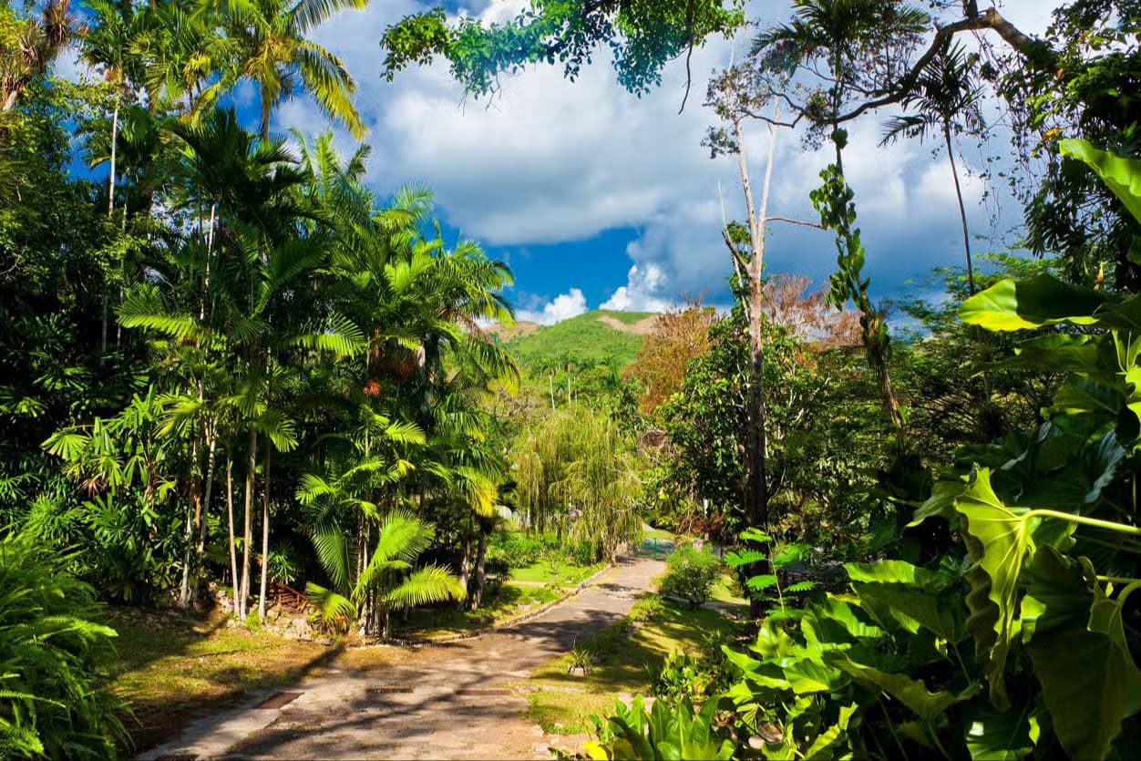 Las Terrazas & Soroa Waterfalls Day Trip