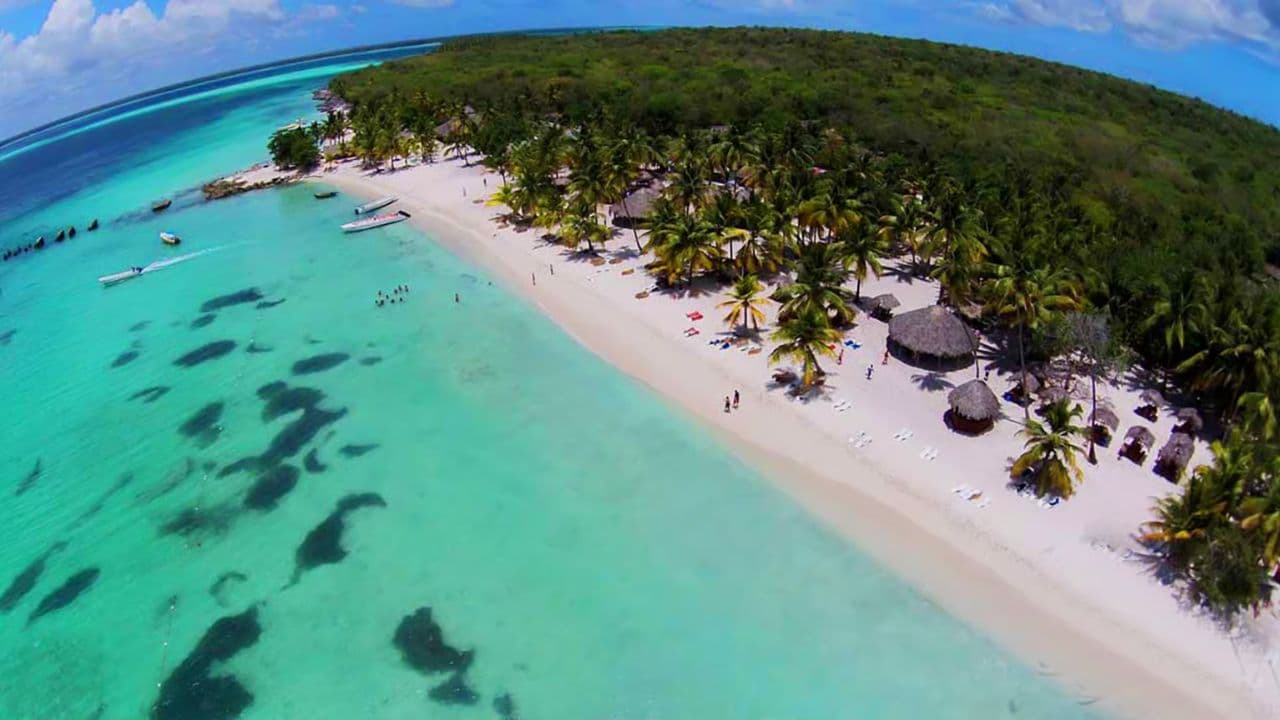 Punta Cana: Saona Island Full-Day with Buffet and Pickup - Dominican Republic
