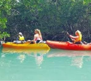 Private: Kayak Adventure at Los Haitises Sunrise Exploration