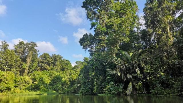 From San Jose: 3-Day Tortuguero National Park Excursion