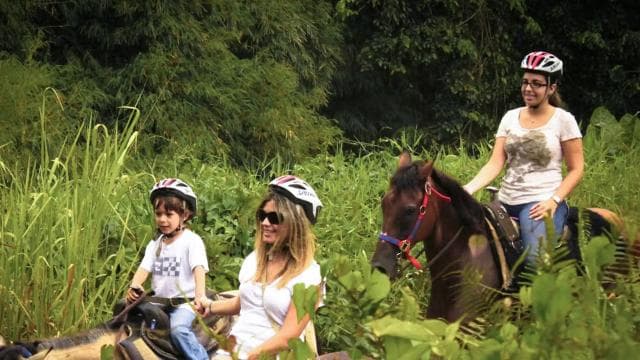 Carabalí Rainforest Park: Rainforest Horseback Riding Tour
