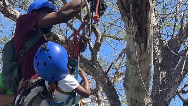 Tamarindo: Ziplining in the Costarican jungle