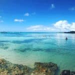 Saona Island Private Tour from Boca Chica Hotels- Boca Chica Lobby