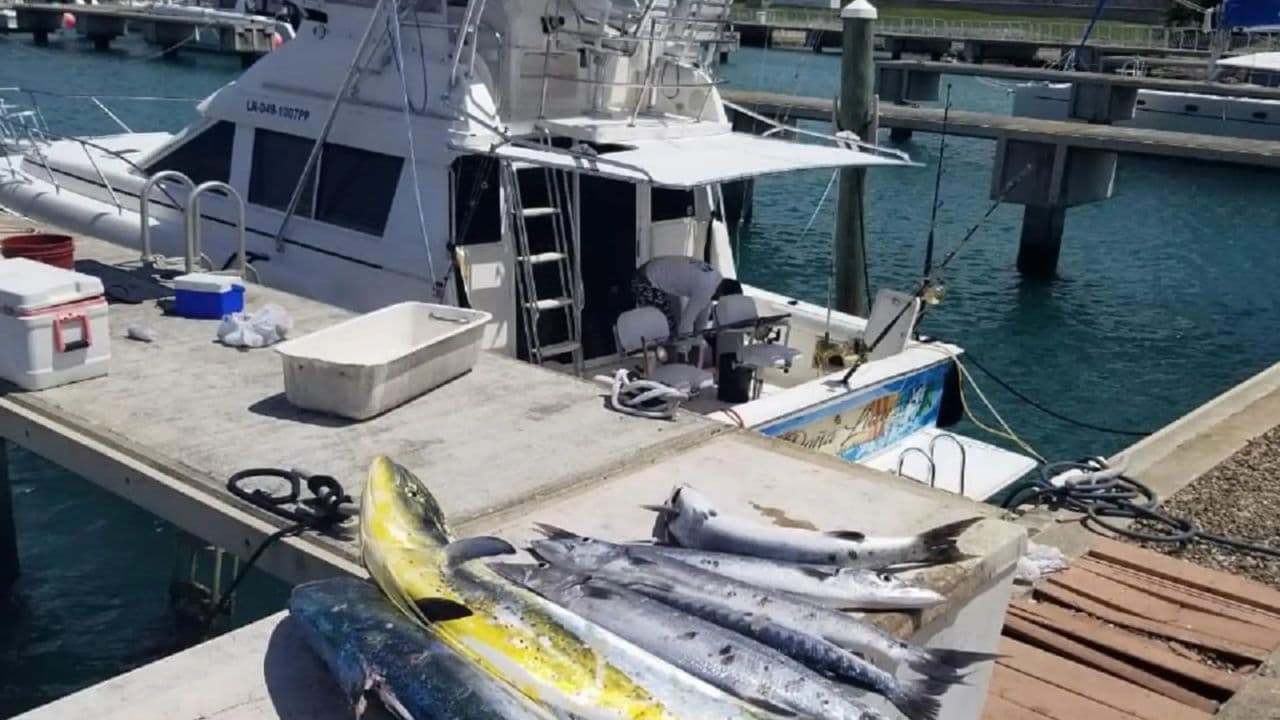 Puerto Plata: Deep Sea Fishing Tour