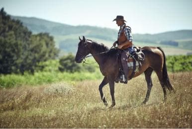 Jarabacoa: Horseback Riding to Salto Baiguate Waterfall