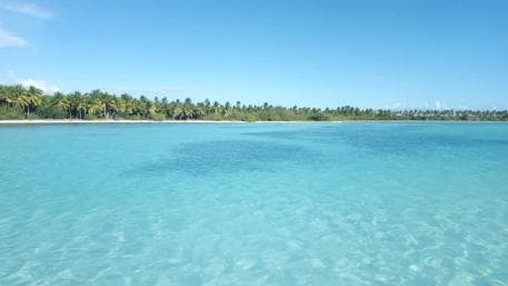 Saona Island: Small Group Virgin Beaches Cruise Day Trip