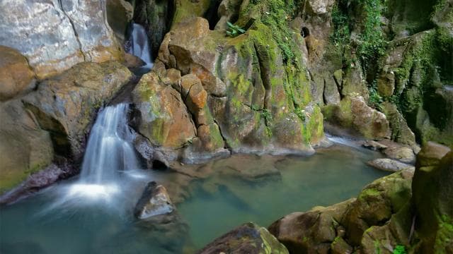 Discover a Hidden Paradise & Learn about Plants.