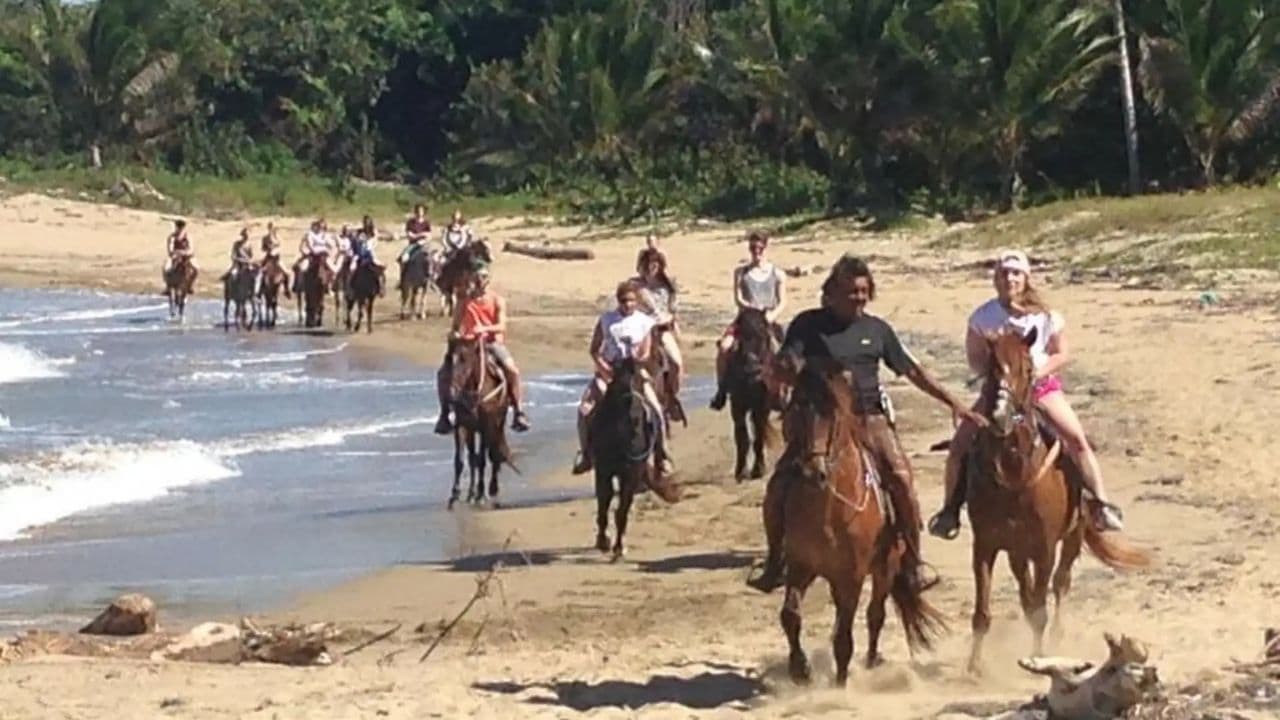 Puerto Plata: Horseback Riding on the Beach
