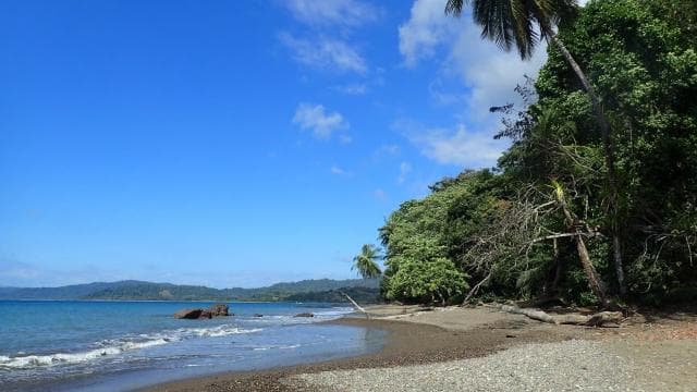 Corcovado National Park: Three Days and Two Nights Corcovado