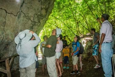 Punta Cana Los Haitises Park, Yanigua Waterfall, & Montaña Redonda Tour
