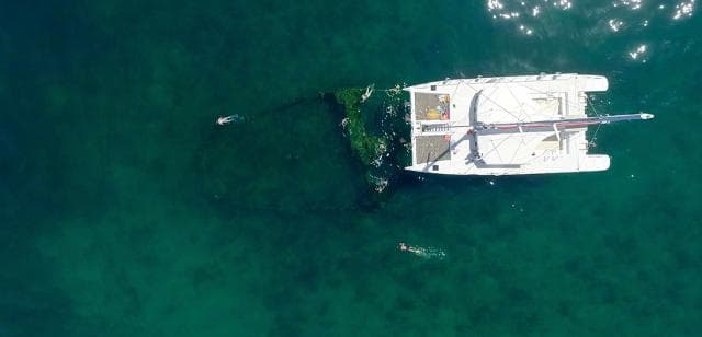Samaná: Catamaran Boat Tour with Snorkeling and Lunch