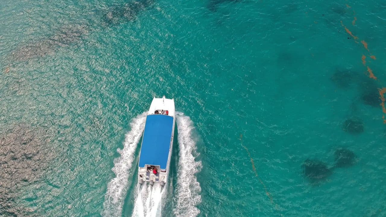 Saona Island Full Day For Small Group Catamaran VIP