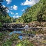 Punta Cana: Higuey, Coffee and Cocoa Tasting Tour with Lunch