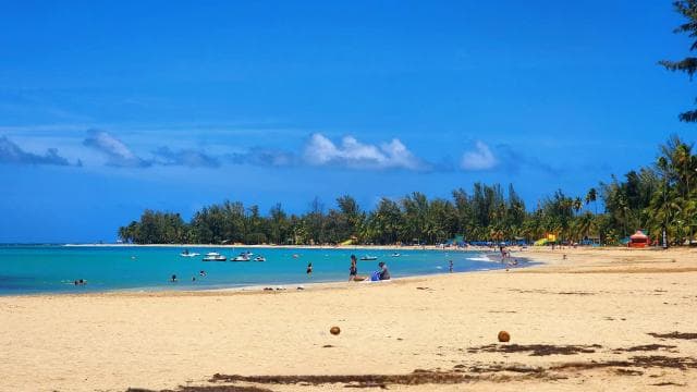 From San Juan: Rainforest River, Luquillo Beach, & Cave Tour
