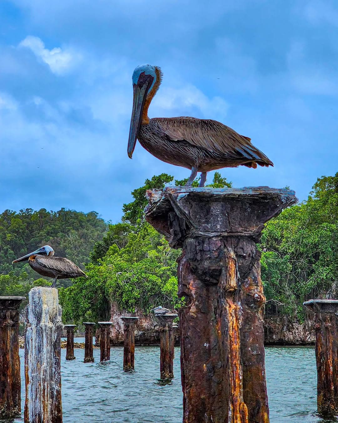 Punta Cana to Los Haitises + Kayak, Boat Ride & Macao Buggy Adventure