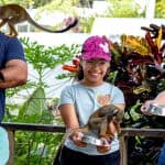 Samaná: Monkeyland and Open-Air Safari Truck Tour