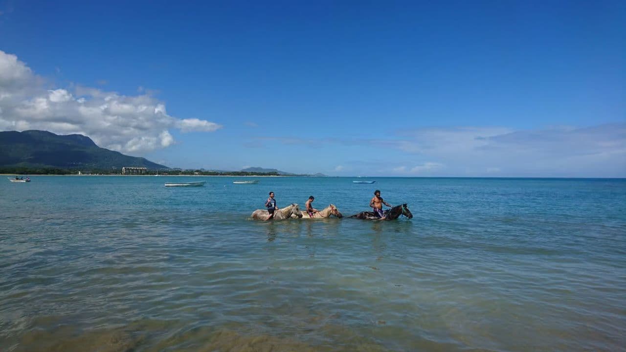 Puerto Plata: 2-Hour Horseback Ride on the Beach