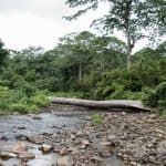 Punta Cana Helicopter Tour to Salto de la Jalda Waterfall 60-Minutes Experience