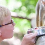Puerto Plata: Monkeyland and Zip-Line Adventure