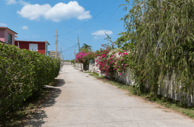Havana Contrasts Tour