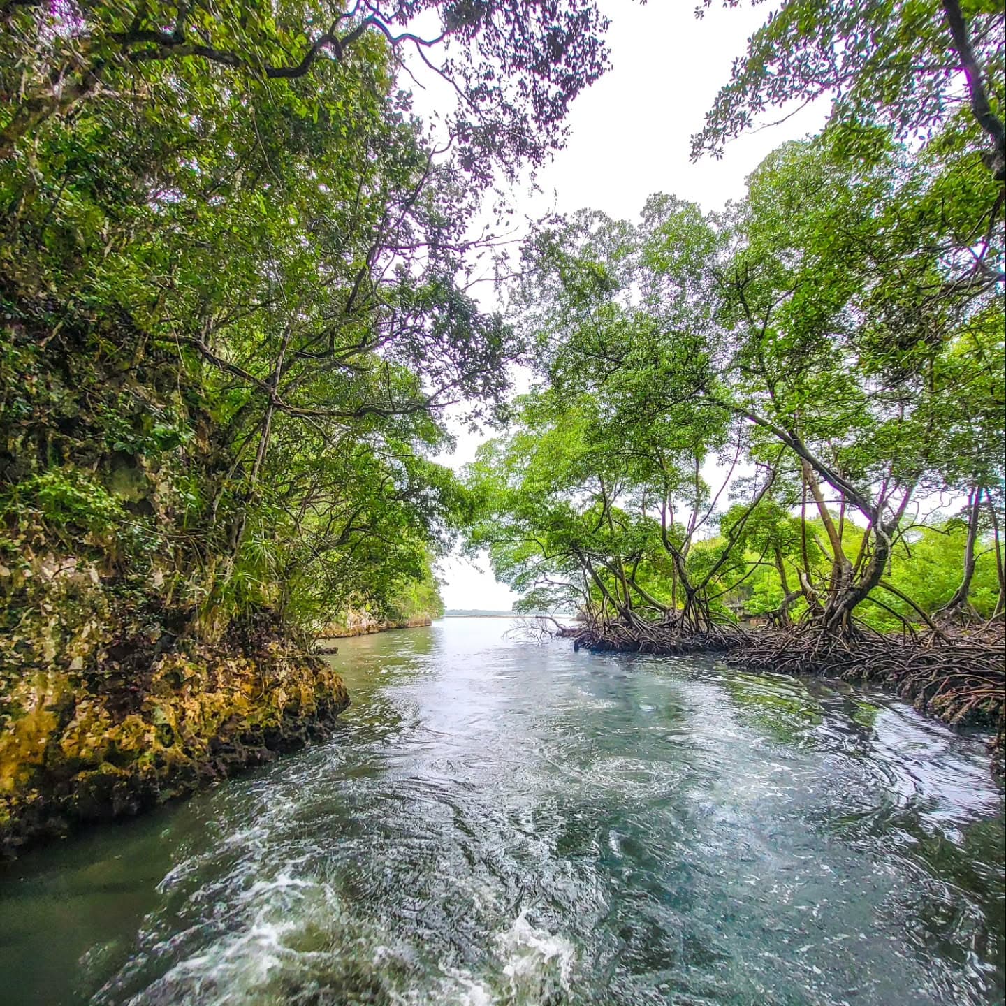 Las Galeras: Los Haitises & Cayo Levantado Tour | $79 Ecotour Adventure - Dominican Republic