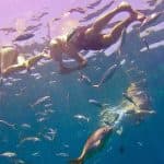 La Romana: Catalina Island Full-Day Snorkeling Tour
