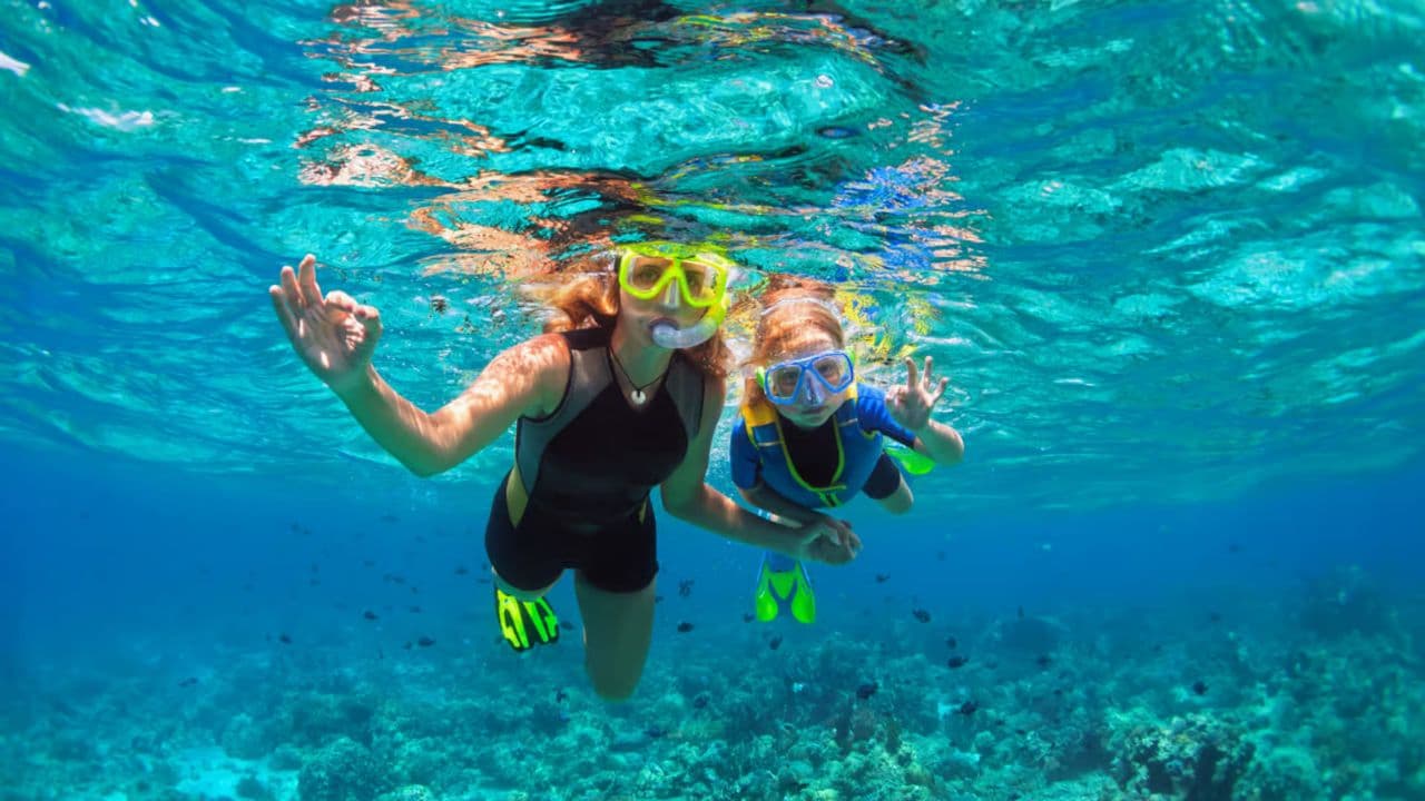 Saona Island Full Day Catamarán Food and Drink included