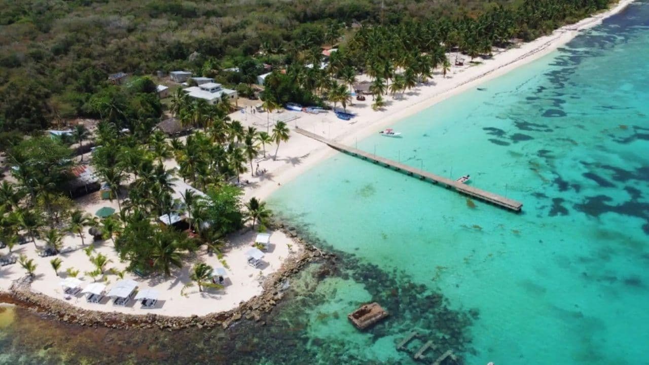 Saona Island Full Day For Small Group Catamaran VIP