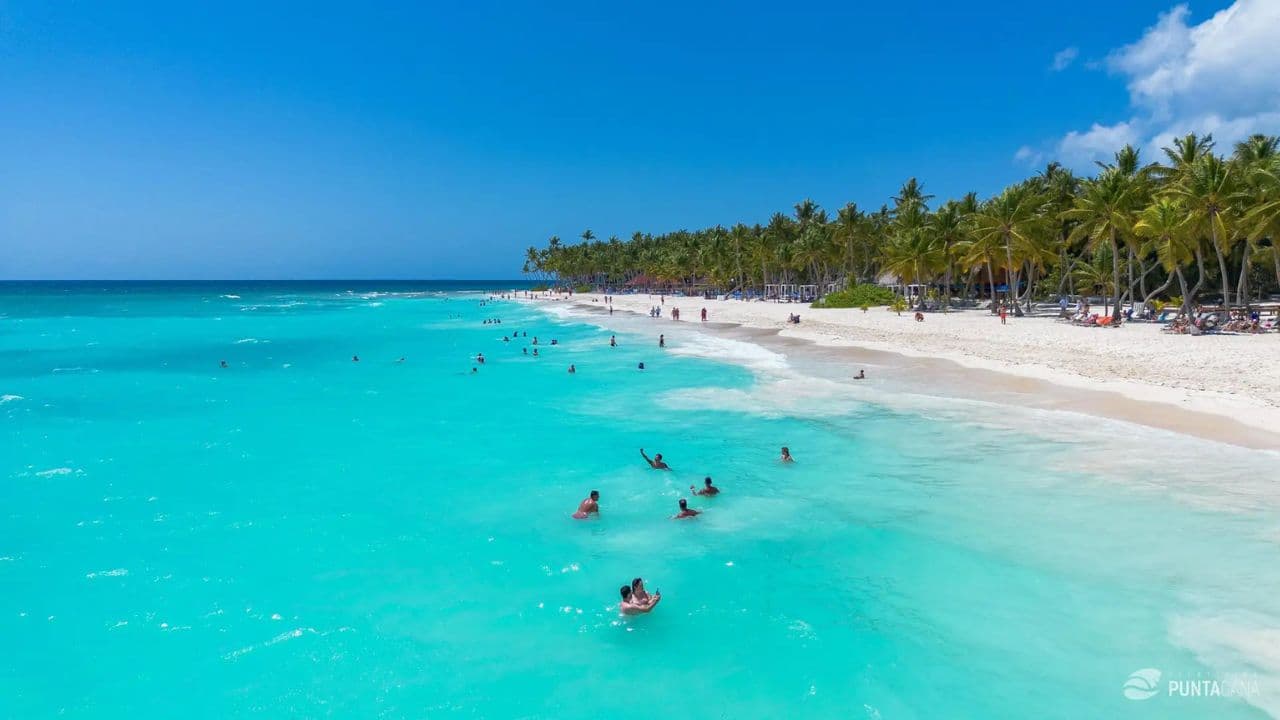Saona Island: Full-Day Boat Tour with Drinks & Buffet Lunch