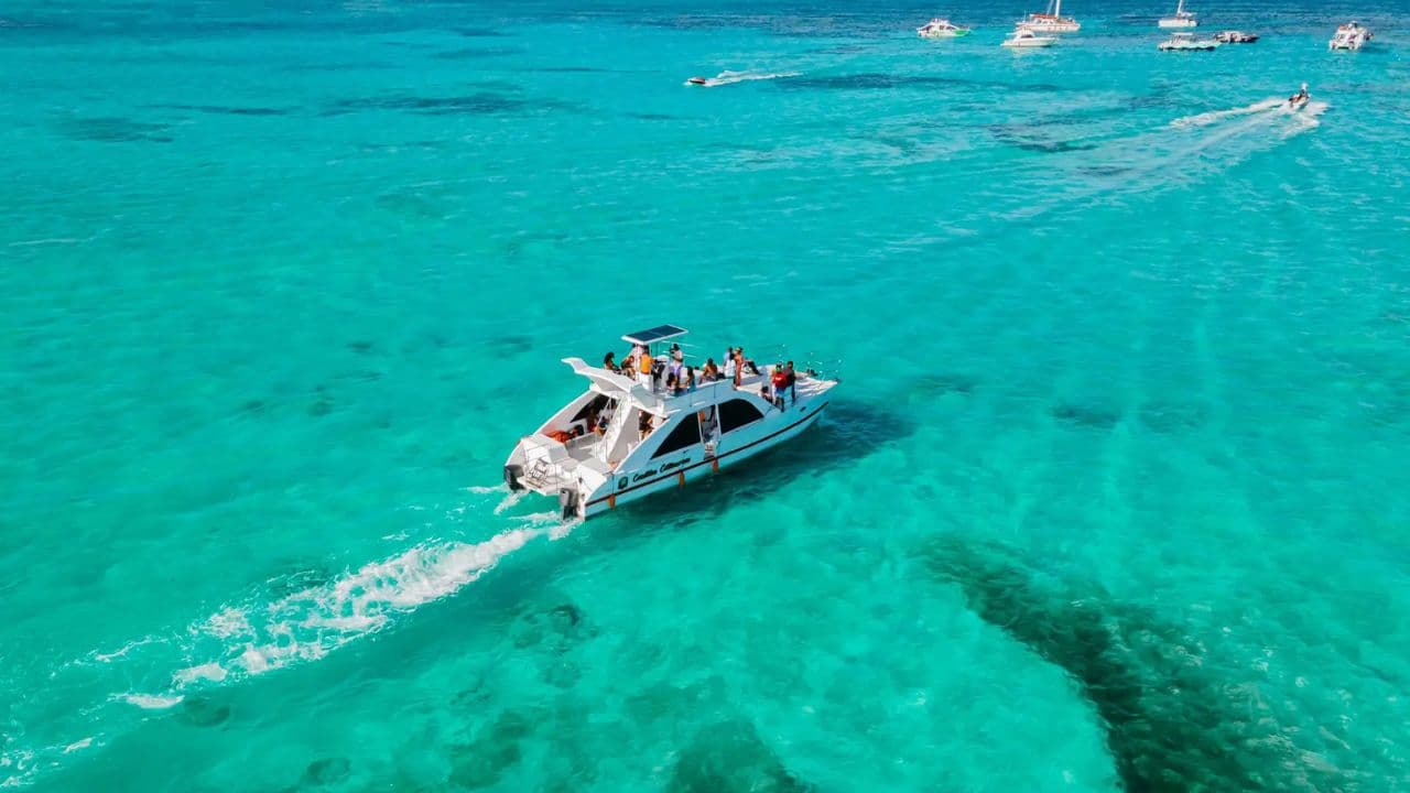 Punta Cana :Catamaran with Open Bar and Dolphin and Stingray Watching