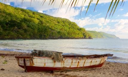 Samana Day Tour: Cayo Levantado & Rincon Bay Paradise