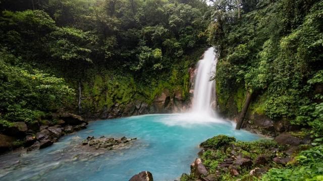 La Fortuna Town: Rio Celeste and Tenorio National Park Tour