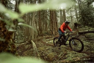Tour: Bike and Kayak Adventure in Los Haitises National Park