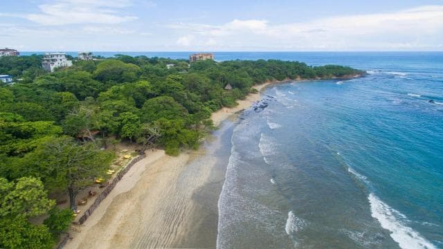 Tamarindo: Horseback to Tamarindo Beach - Guanacaste, CR